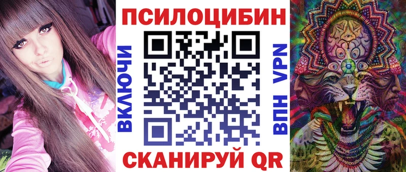 сколько стоит  Щигры  Псилоцибиновые грибы мицелий 
